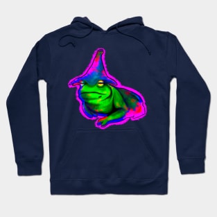 Mr. Magic Frog Hoodie